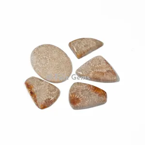 Fossil Coral Cabochons
