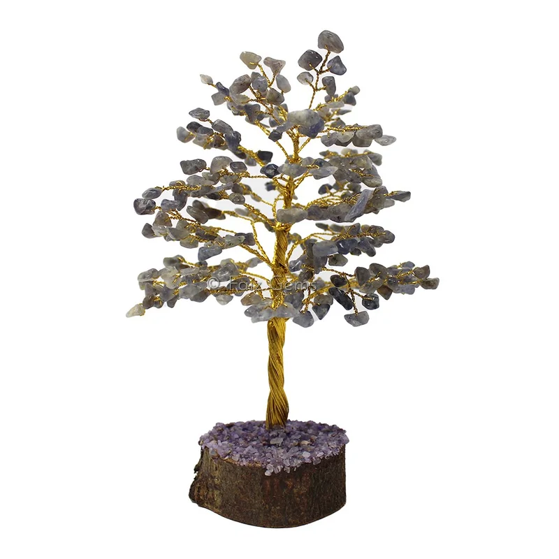 Iolite Golden Wire Tree(300 Chips)