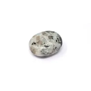 Palm Rainbow moon Stone