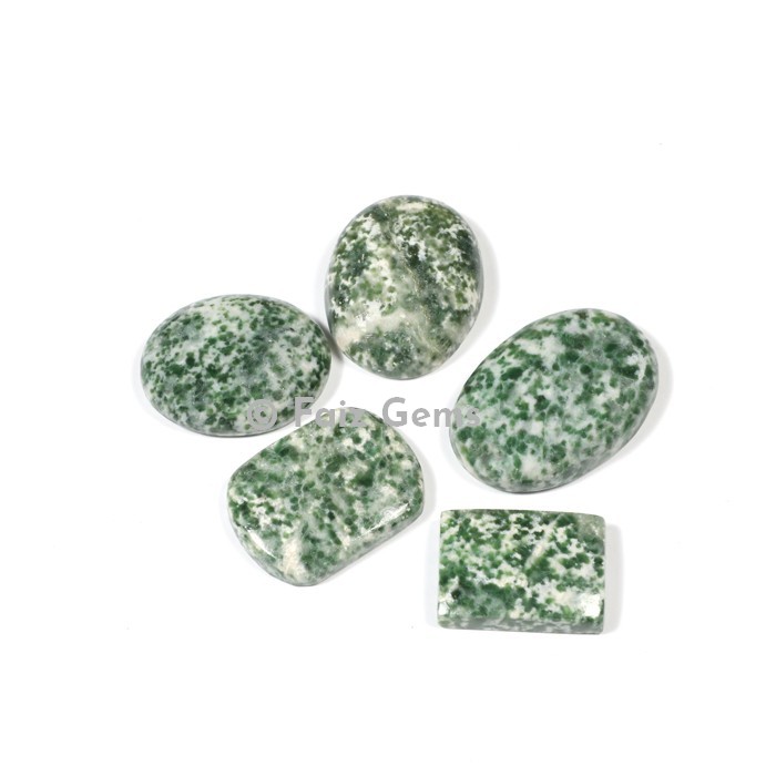 Tree Agate Cabochons